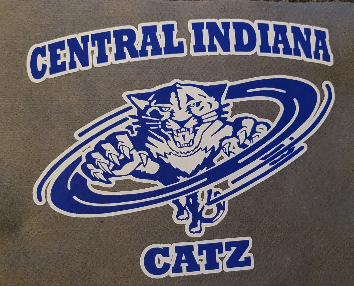 Central Indiana Catz 2